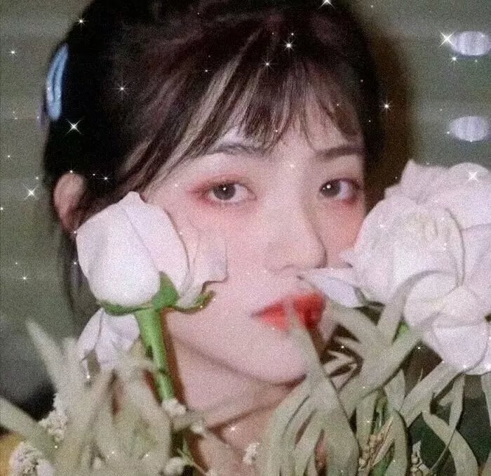 我下载了一只鬼